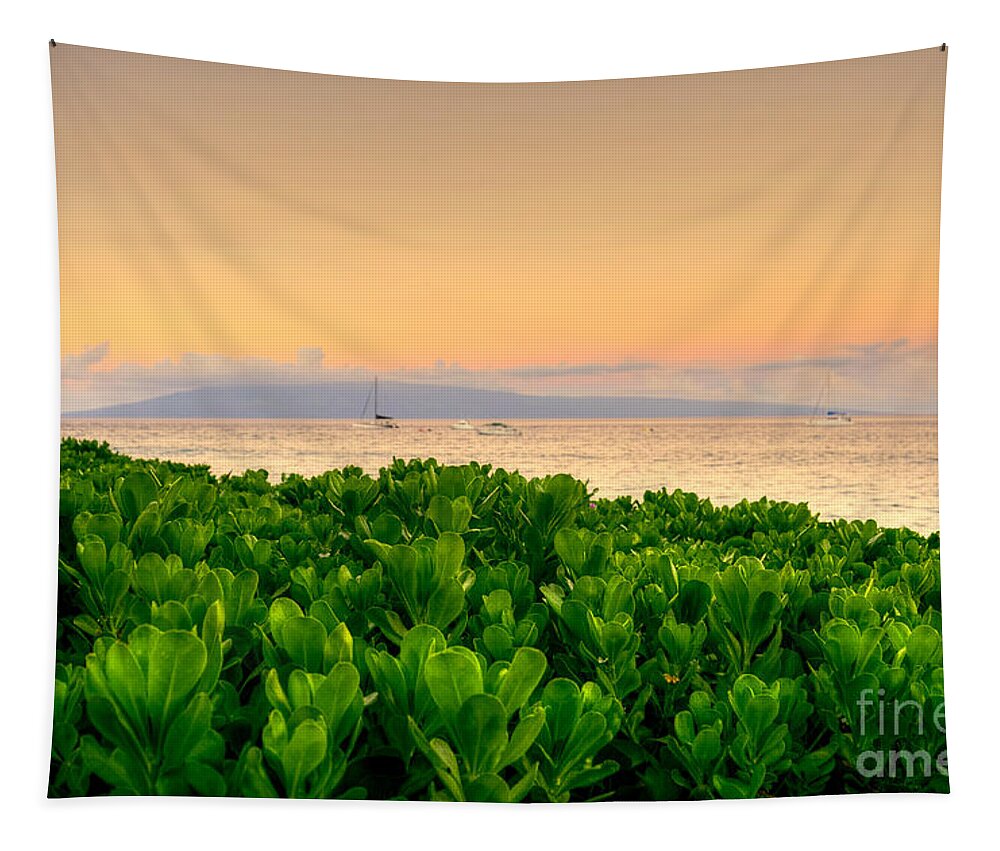 Sunrise Tapestry featuring the photograph Sunrise On Maui by Kelly Wade