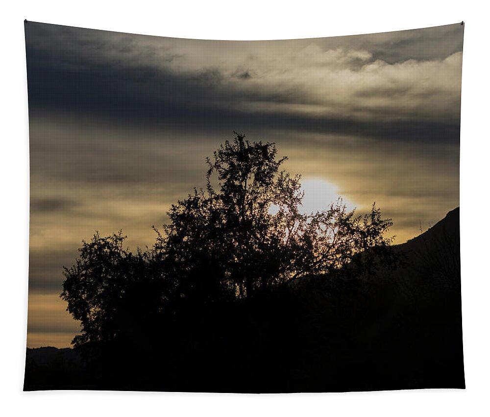 Sunrise Tapestry featuring the photograph Sunrise Over Tree by Douglas Killourie