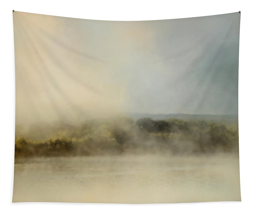 Jai Johnson Tapestry featuring the painting Sunrise Through The Fog by Jai Johnson