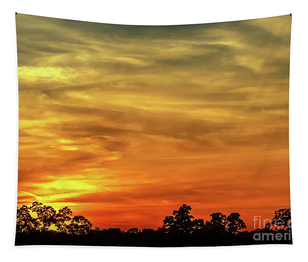 Silhouette Tapestry featuring the photograph Sunset 3 by Andrea Anderegg