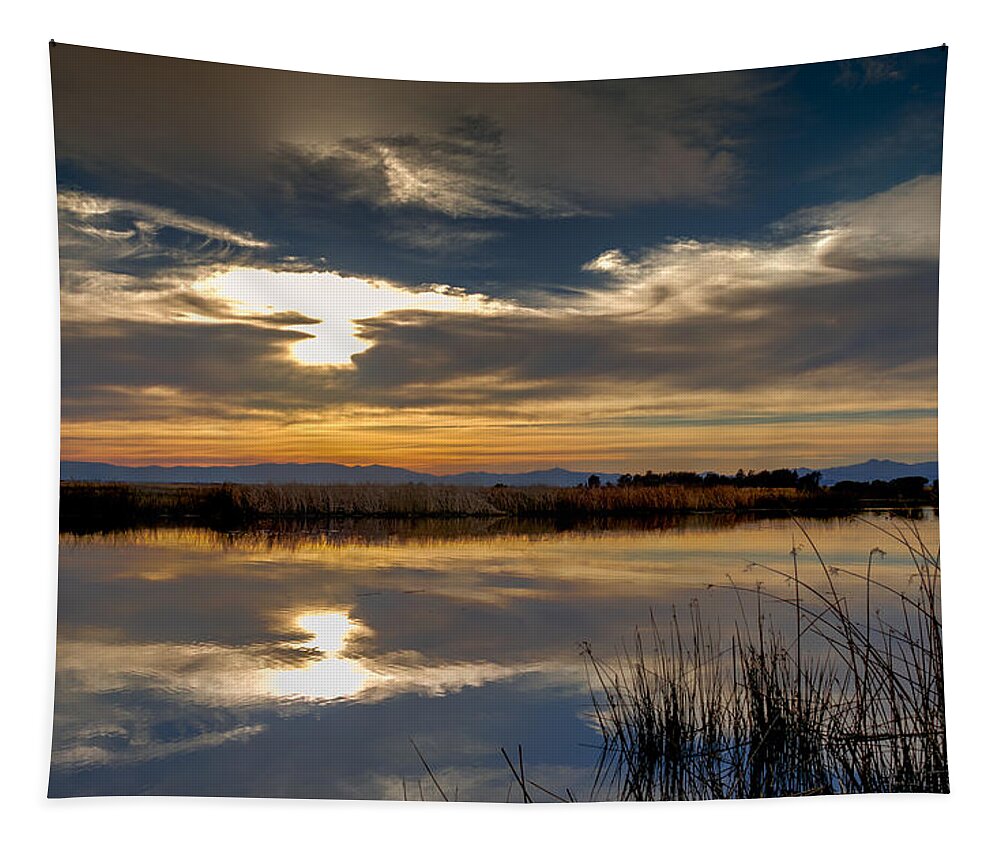 Suisun Slough Tapestry featuring the photograph Sunset at Hill Slough by Bruce Bottomley