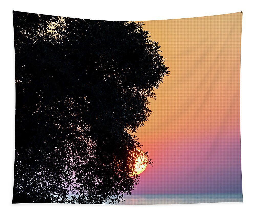Sunset Tapestry featuring the photograph Sunset by Christopher Johnson