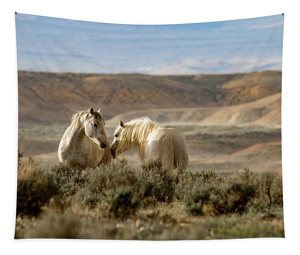 Mustang Tapestry featuring the photograph Sunset Friends by Mindy Musick King