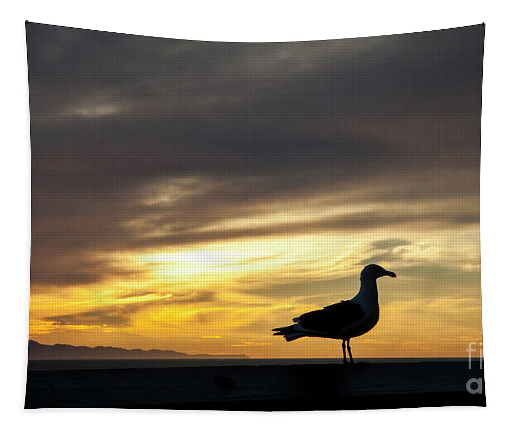 Sunset Gull Silhouette Tapestry featuring the photograph Sunset Gull Silhouette by David Millenheft