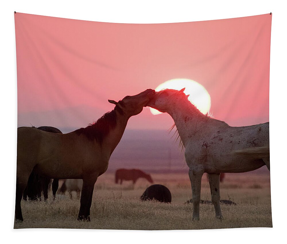 Wild Horses Tapestry featuring the photograph Sunset Horses by Wesley Aston