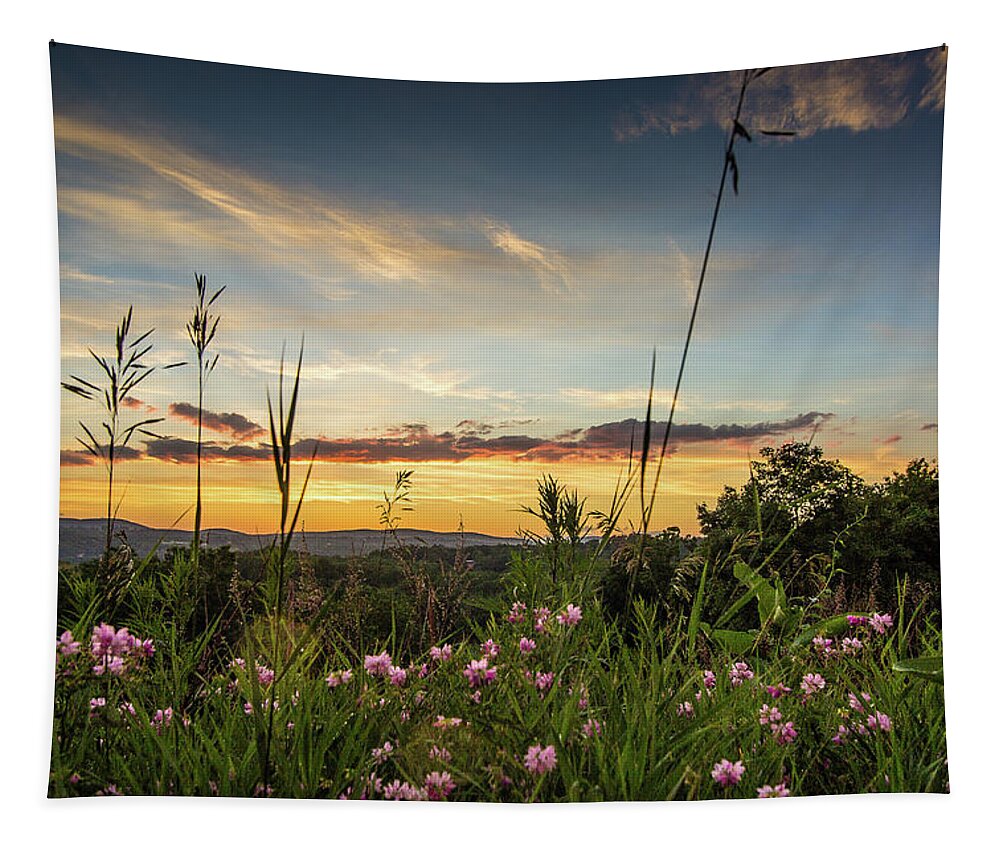 Hudson Valley Tapestry featuring the photograph Sunset in Poughkeepsie by John Morzen