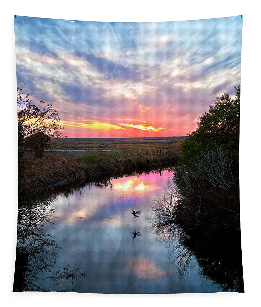 Nature Tapestry featuring the photograph Sunset Over The Marsh by Christopher Holmes