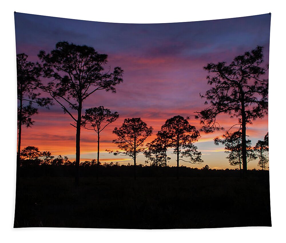 Sunset Pines Tapestry featuring the photograph Sunset Pines by Paul Rebmann