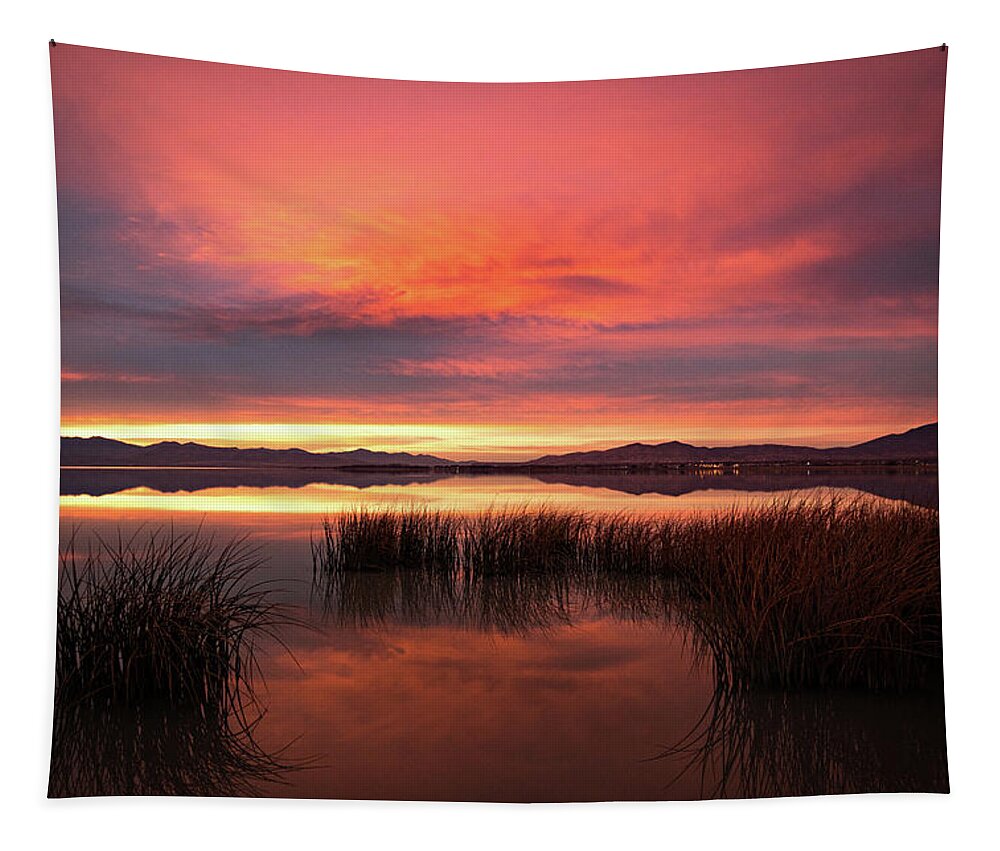 Sunset Tapestry featuring the photograph Sunset Reeds on Utah Lake by Wesley Aston