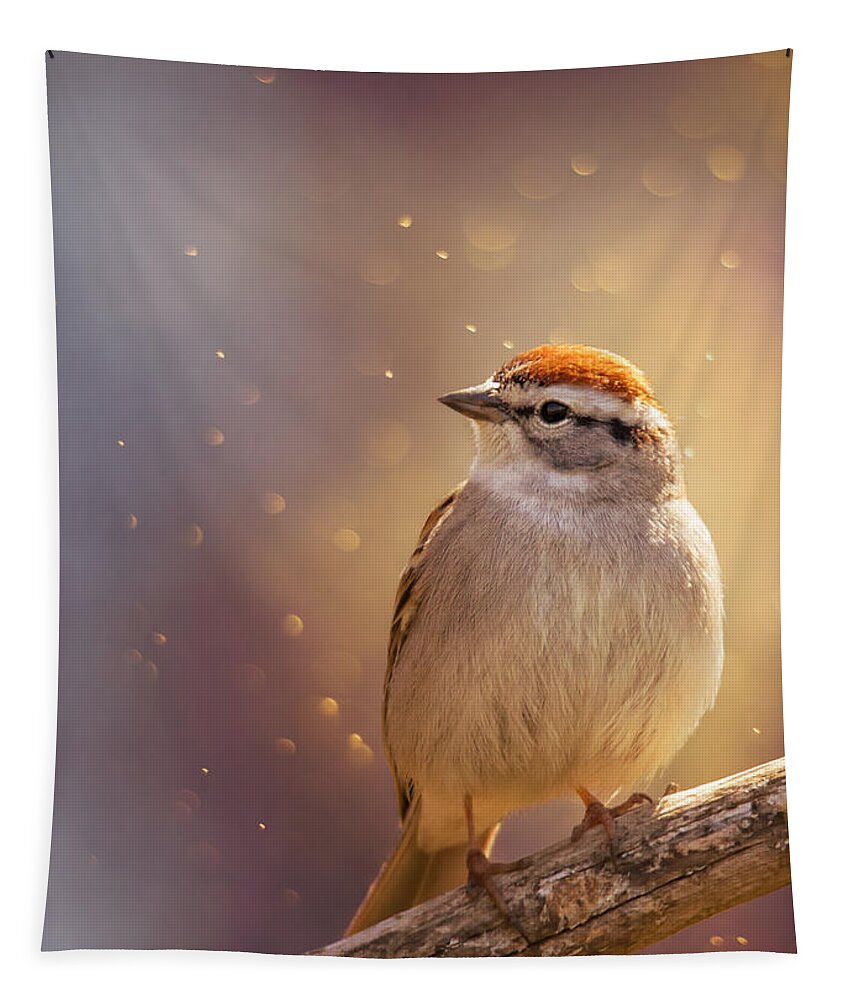 Bird Tapestry featuring the photograph Sunset Sparrow by Bill and Linda Tiepelman