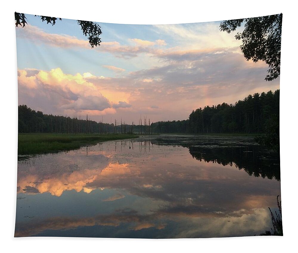 Landscape Tapestry featuring the photograph Sunset Splendor At Unquetynassat Brook  by Anjel B Hartwell