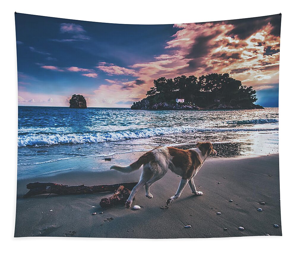 Dog Tapestry featuring the photograph Sunset Stroll by Mountain Dreams