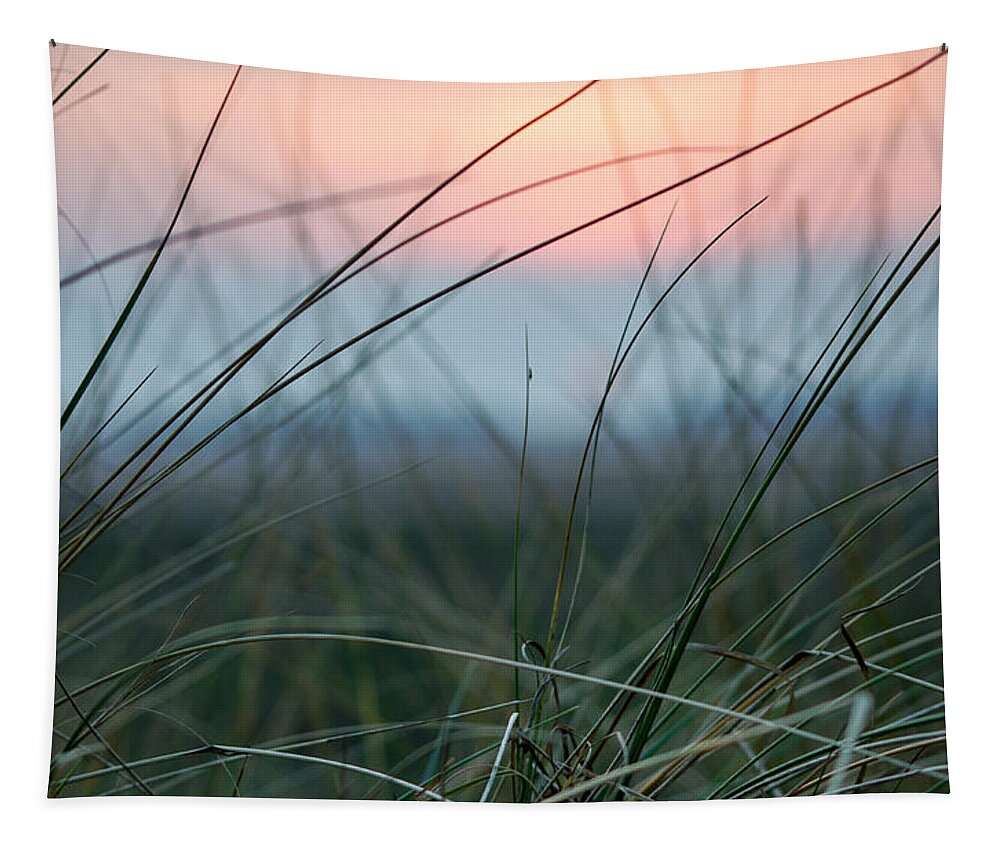 Sun Tapestry featuring the photograph Sunset through the marsh grass by Spikey Mouse Photography