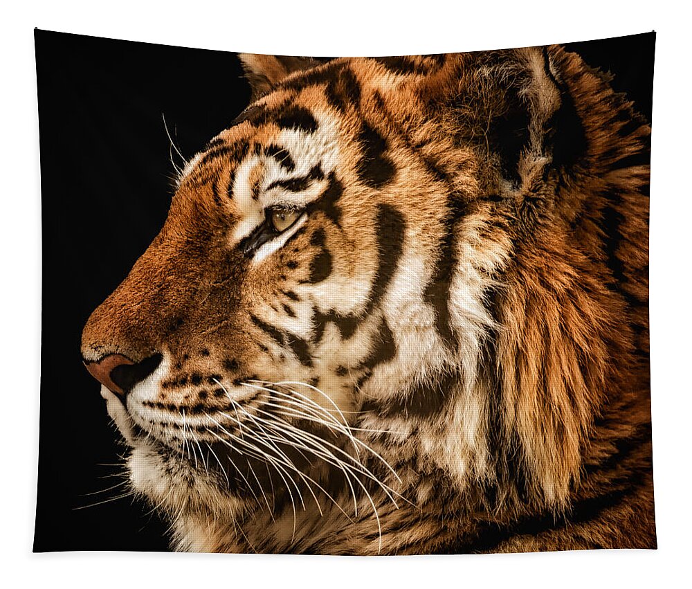 Tiger Tapestry featuring the photograph Sunset Tiger by Chris Boulton