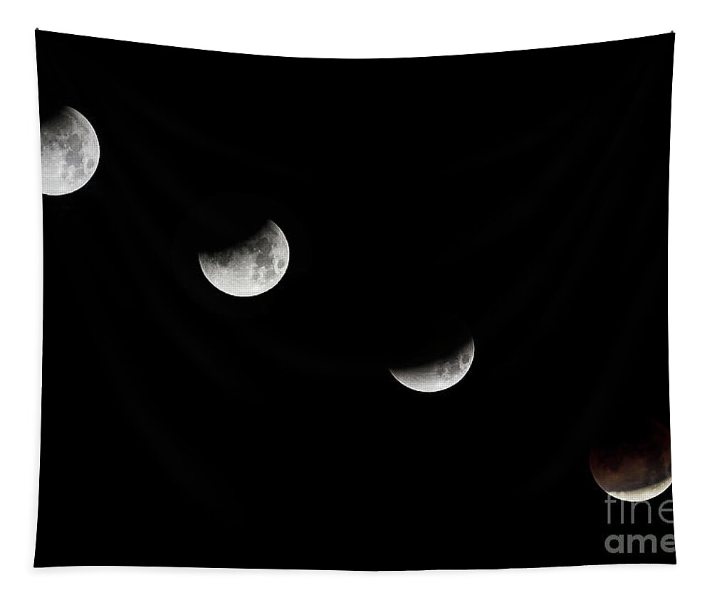 Super Tapestry featuring the photograph Super Blue Blood Moon by Dennis Hedberg
