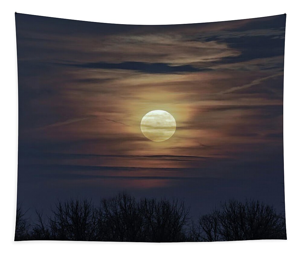 Moon Tapestry featuring the photograph Supermoon by Allin Sorenson