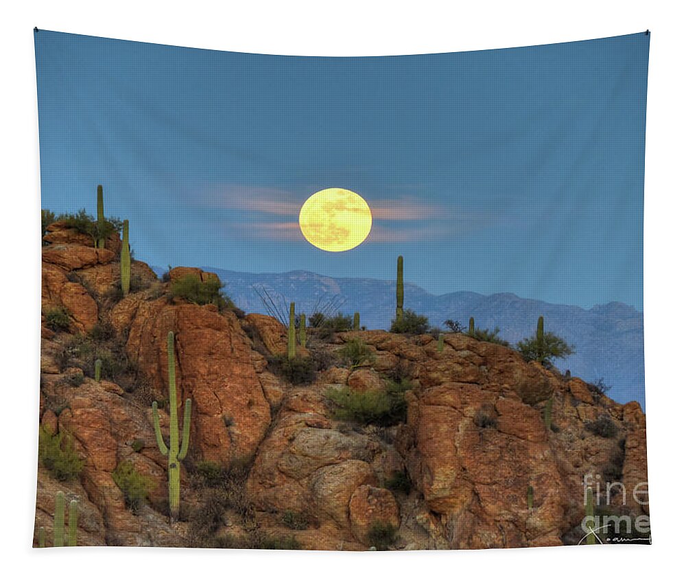 Supermoon Tapestry featuring the photograph Supermoon Rising Jan 2018 by Joanne West