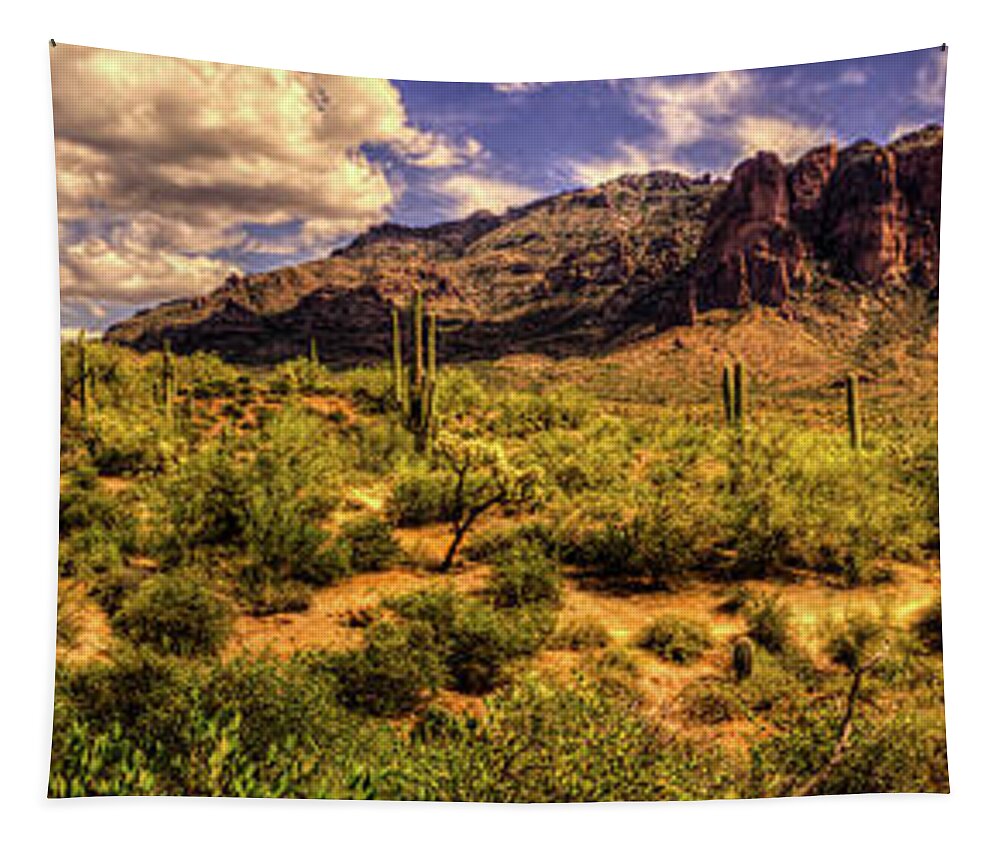 Arizona Tapestry featuring the photograph Superstition Mountain and Wilderness by Roger Passman