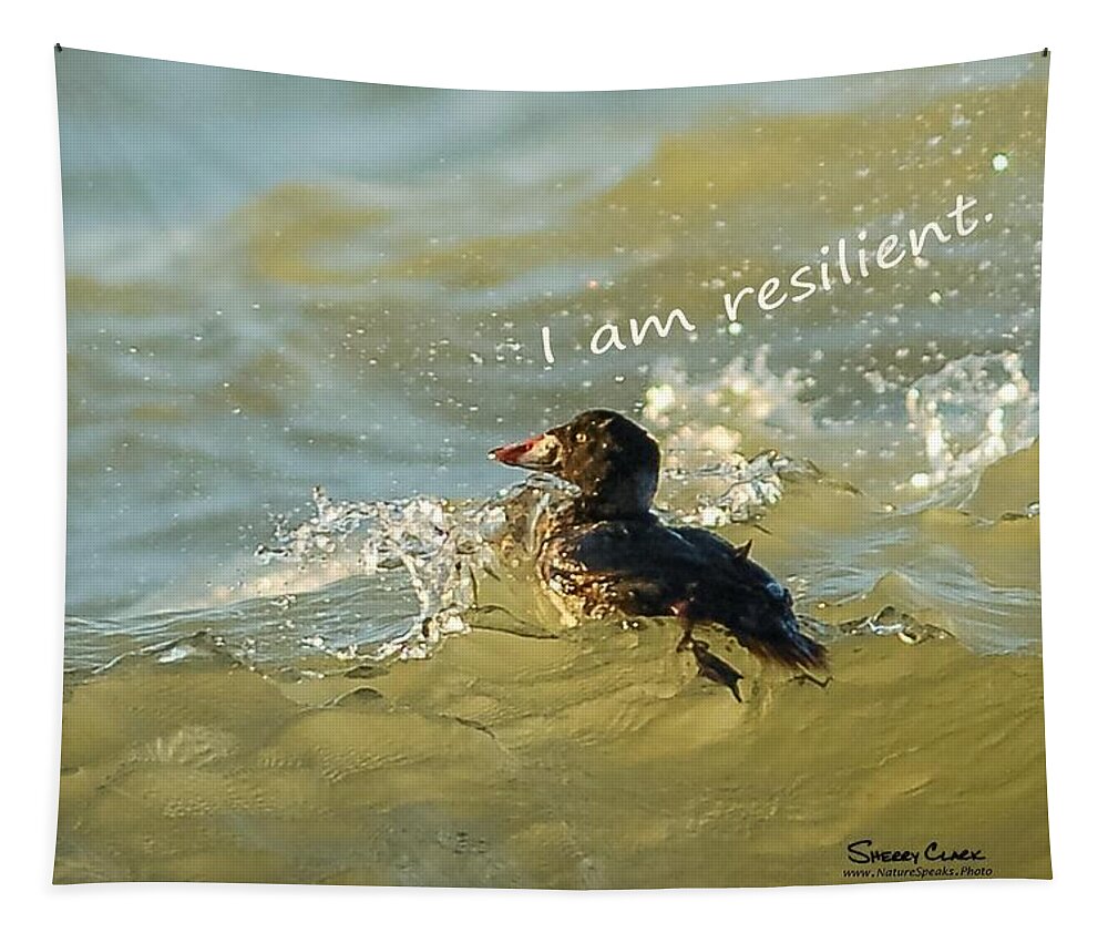  Tapestry featuring the photograph Surf Scoter says I am Resilient by Sherry Clark