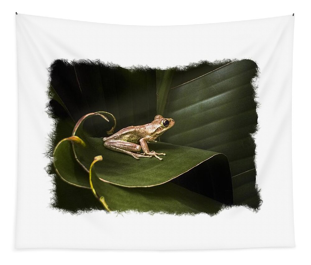 Frog Tapestry featuring the photograph Surfing the Wave Bordered by Debra and Dave Vanderlaan