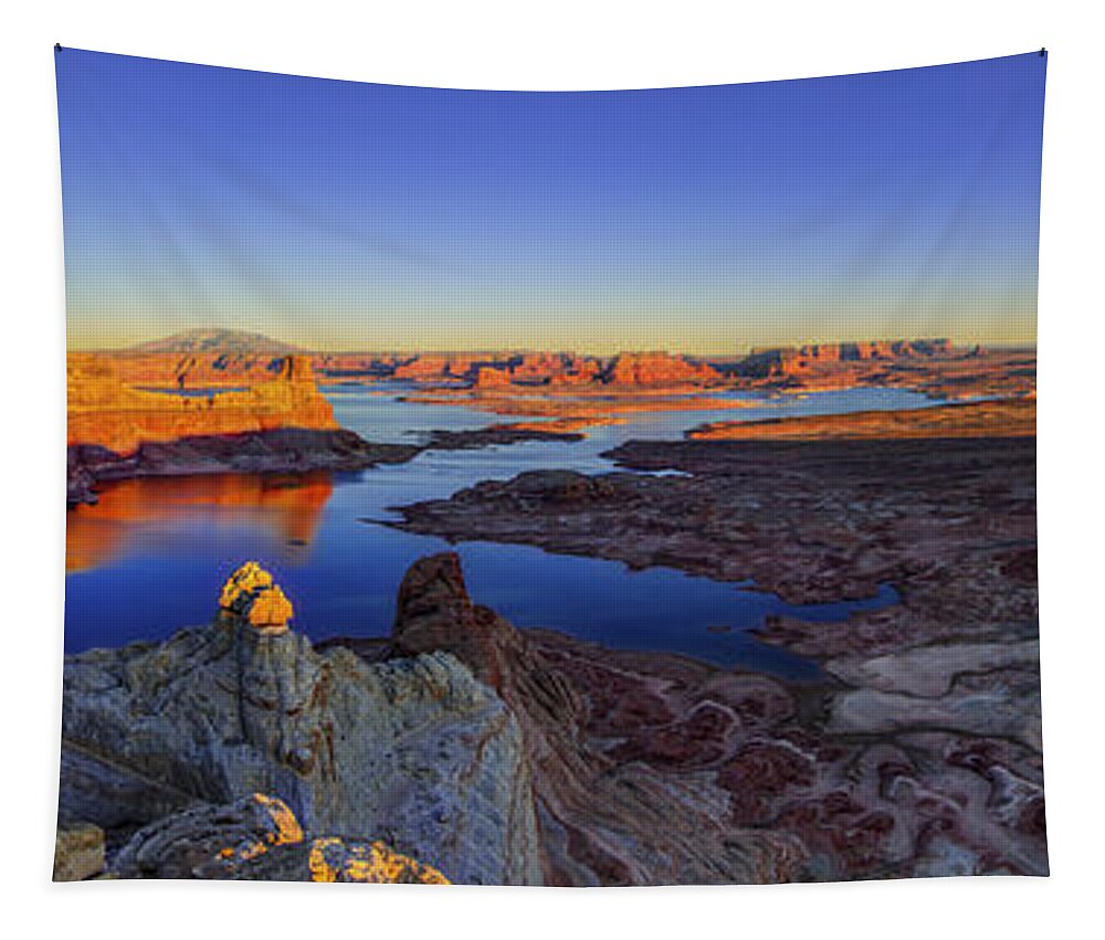Nature Tapestry featuring the photograph Surreal Alstrom by Chad Dutson