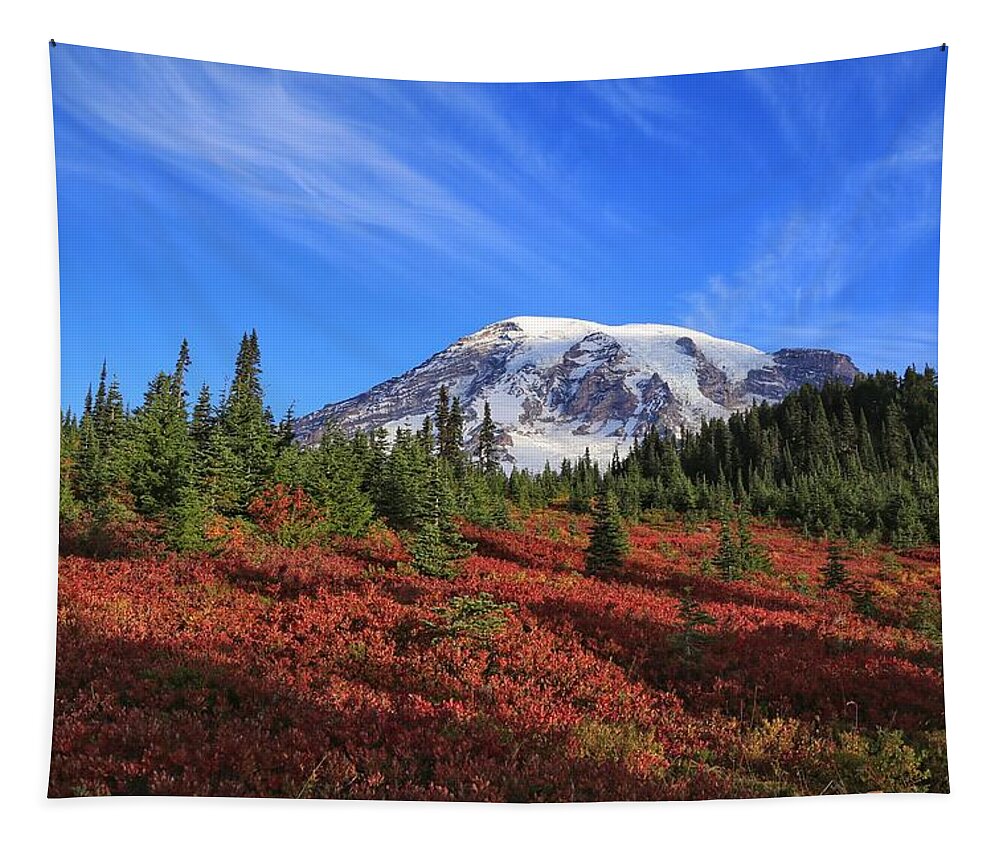 Surrounded By Fall Colors Tapestry featuring the photograph Surrounded by Fall Colors by Lynn Hopwood