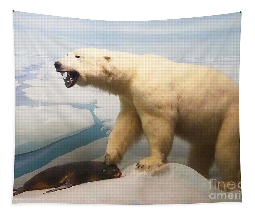 Polar Bear Tapestry featuring the photograph Survival of the Fittest by Cindy Manero