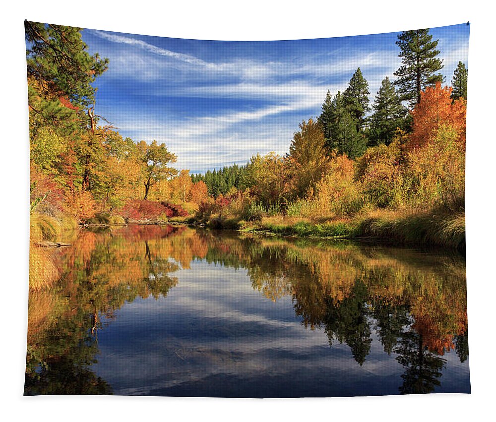 Autumn Tapestry featuring the photograph Susan River 10-28-12 by James Eddy