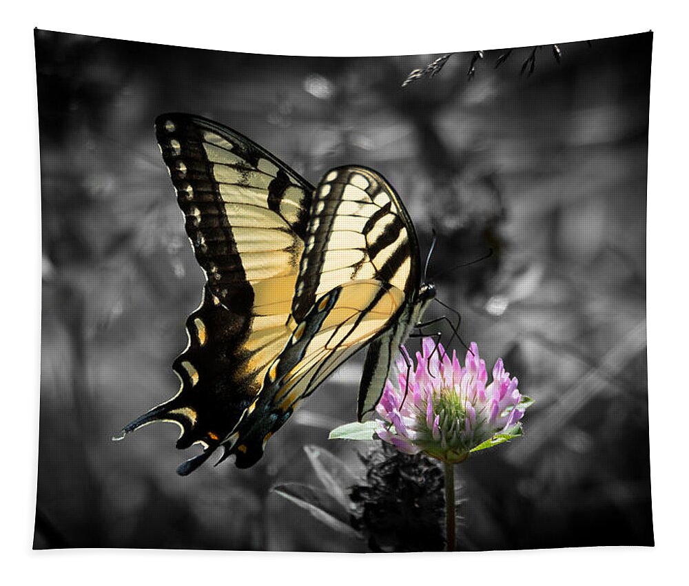 Butterfly Tapestry featuring the photograph Swallowtail Butterfly- Color Pop by Holden The Moment