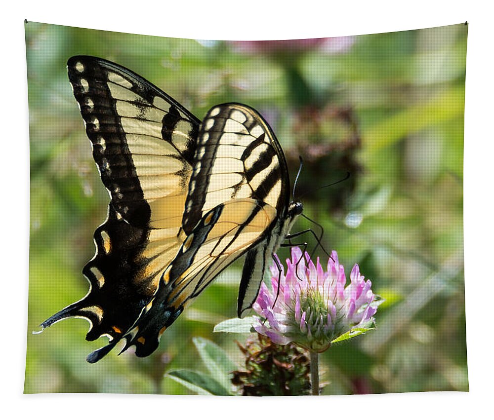 Butterfly Tapestry featuring the photograph Swallowtail Butterfly by Holden The Moment