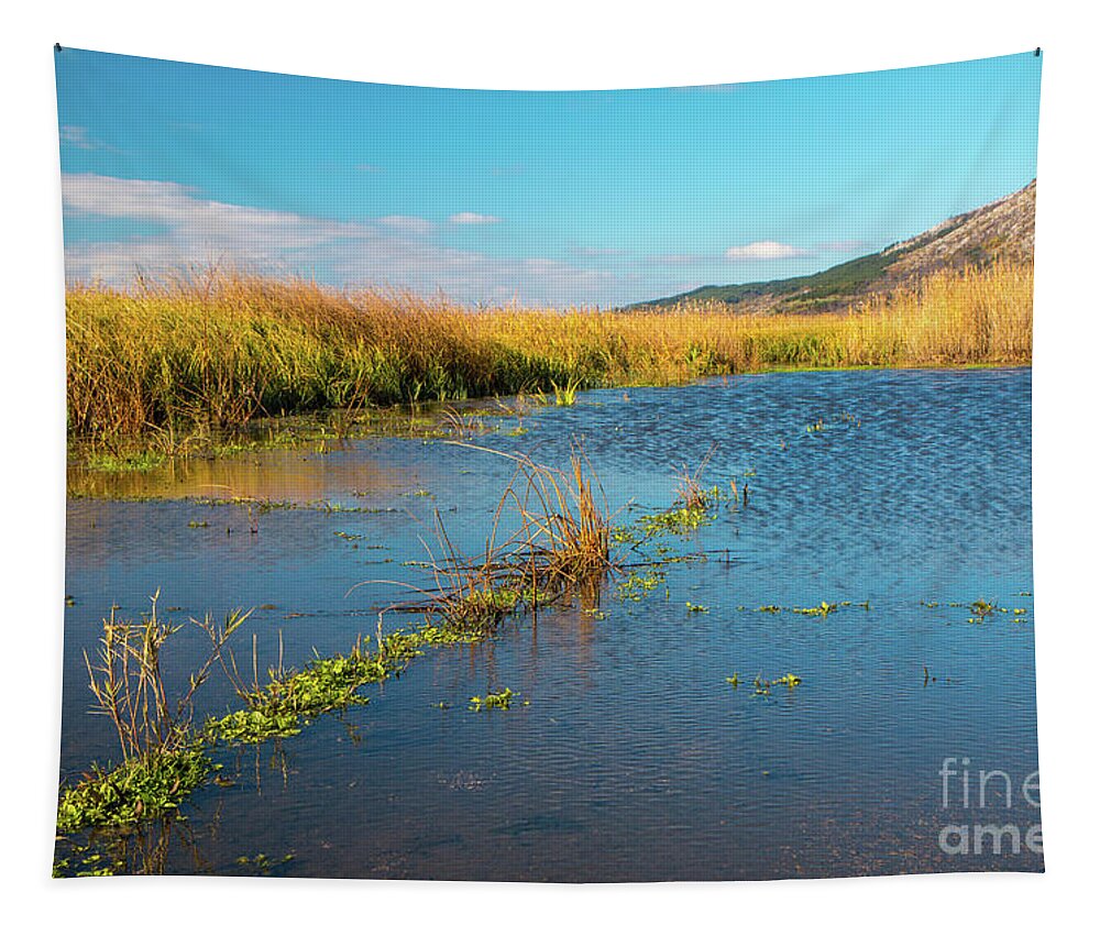 Bulgaria Tapestry featuring the photograph Swamp by Jivko Nakev