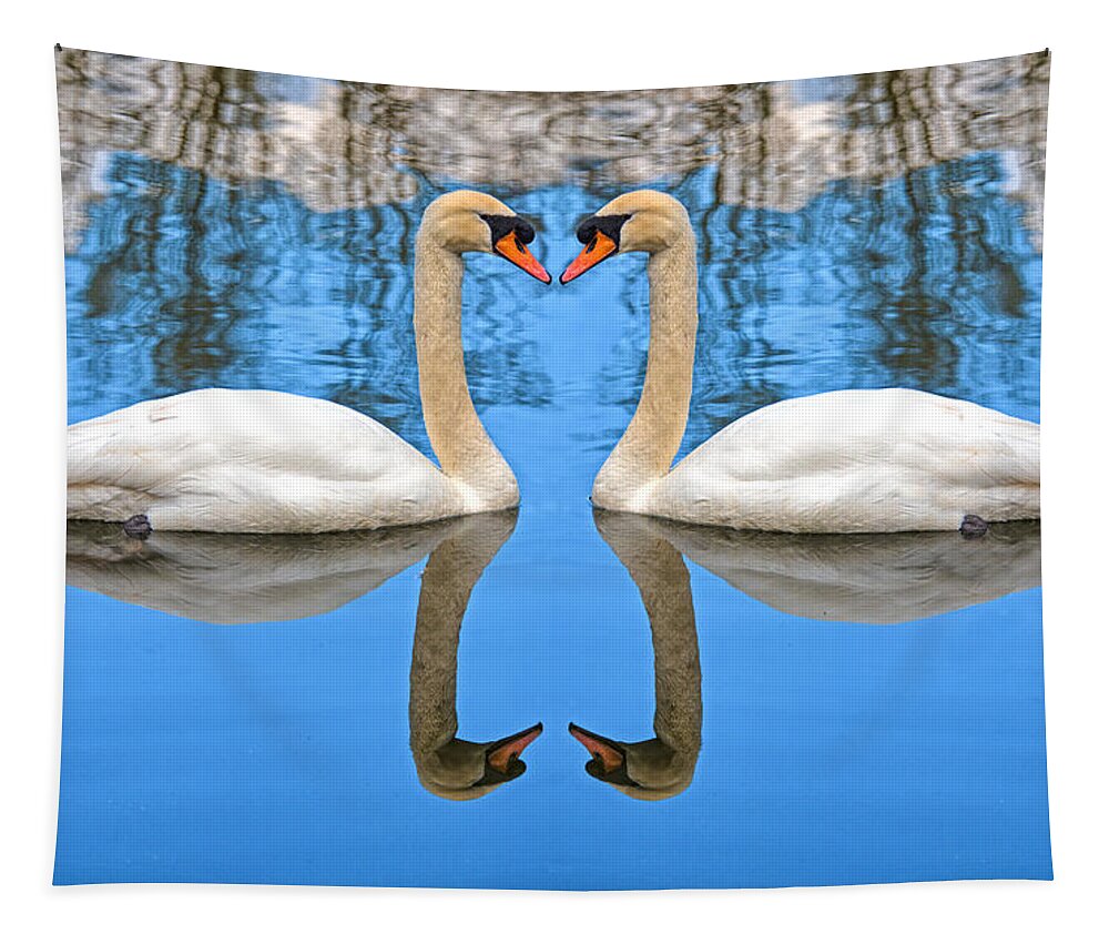 Swan Tapestry featuring the photograph Swan Princess by Roy Pedersen