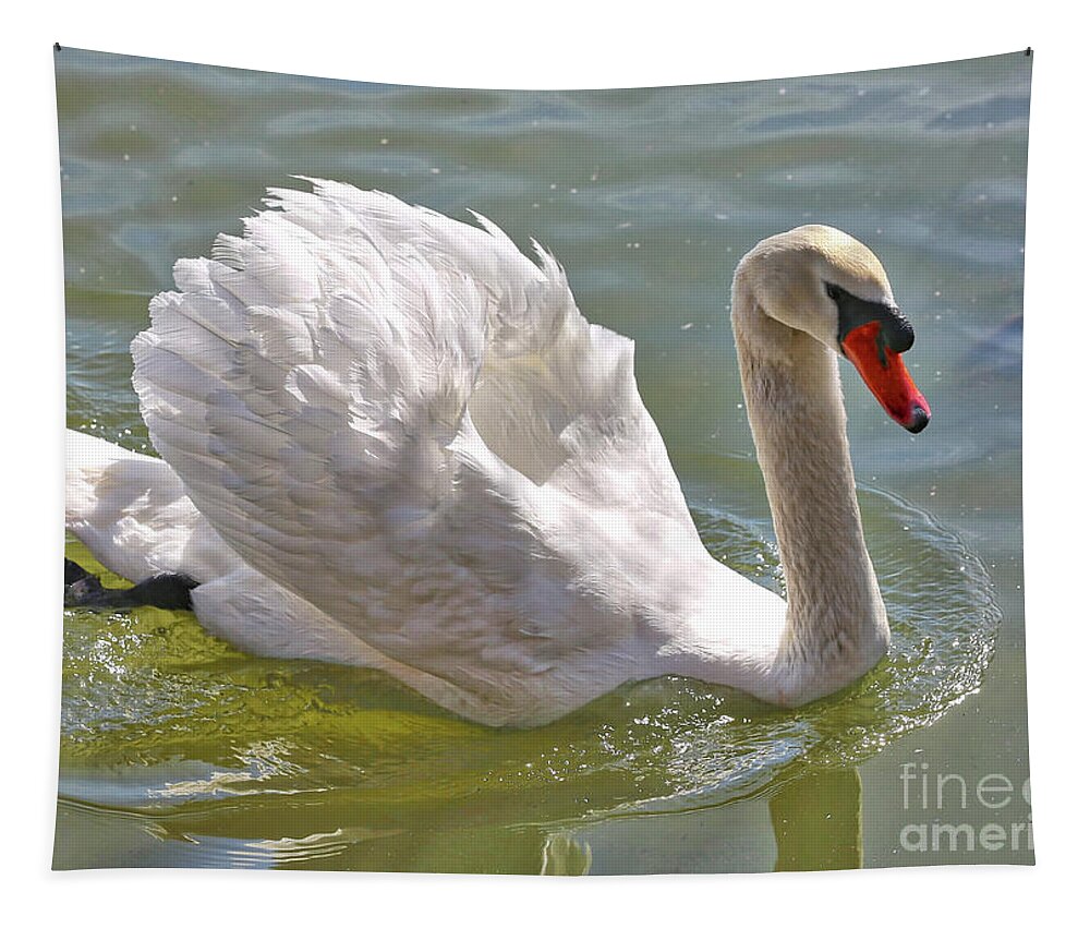 Swan Tapestry featuring the photograph Swan Swimming By by Carol Groenen