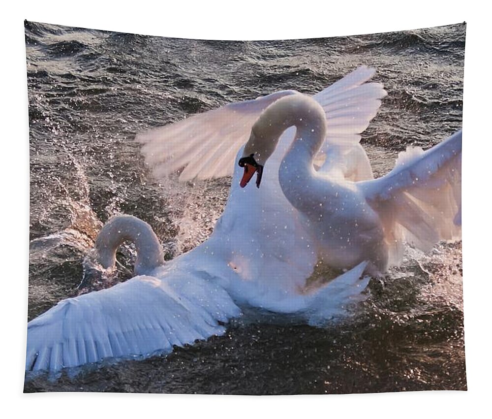 Swans Tapestry featuring the photograph Nuptial Dance 3 by Tatiana Travelways