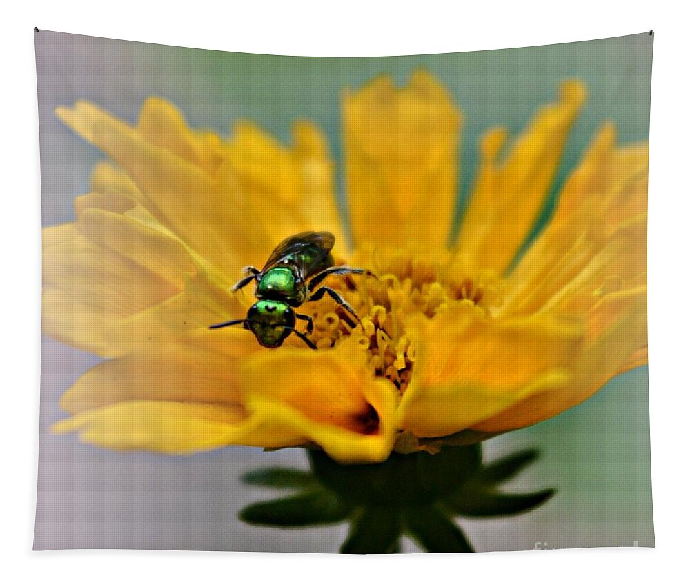 Bee Tapestry featuring the photograph Sweat Bee by Dani McEvoy