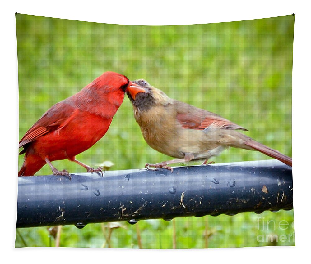 Male And Female Cardinal Tapestry featuring the photograph Sweet Cardinal Couple by Kerri Farley