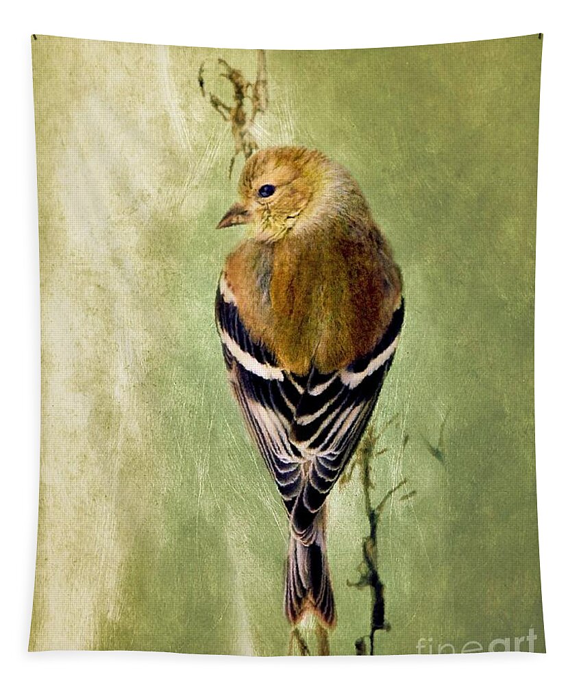 American Goldfinch Tapestry featuring the painting Sweet Goldfinch by Tina LeCour