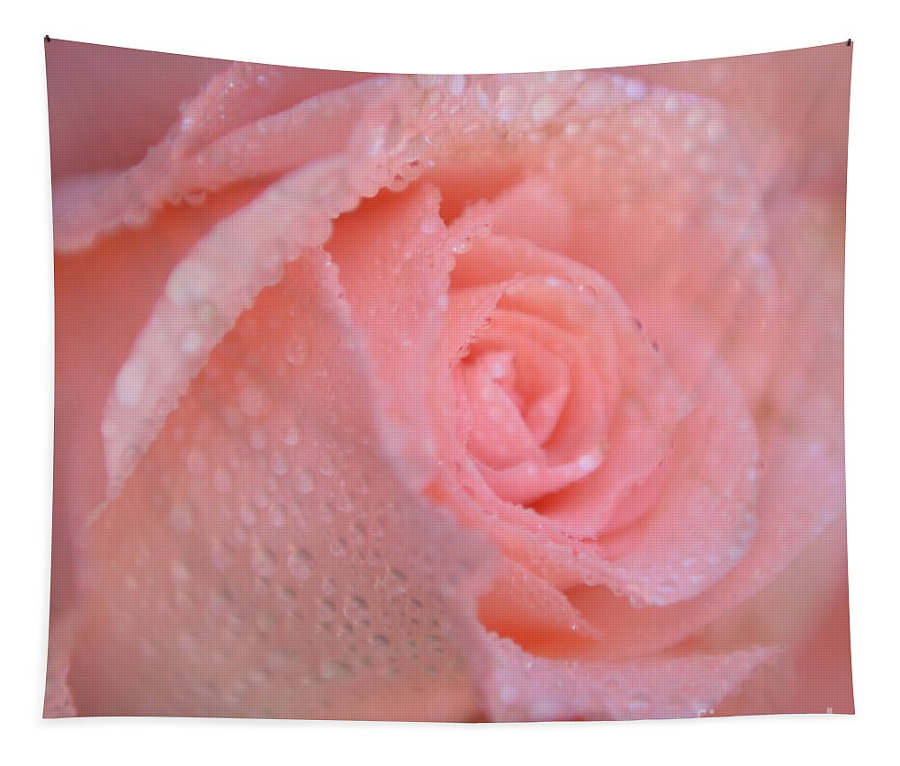 Pink Rose Tapestry featuring the photograph Sweet Memories in Pink by Olga Hamilton