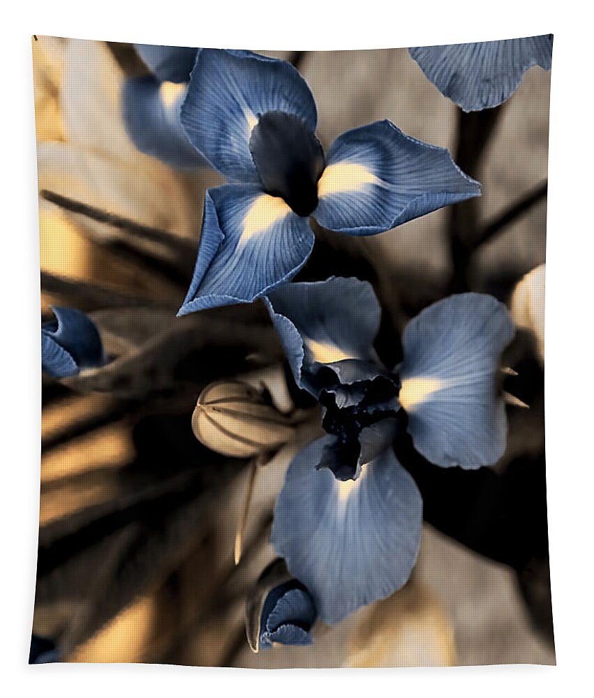 Iris Tapestry featuring the photograph Sweet Memories by Theresa Campbell