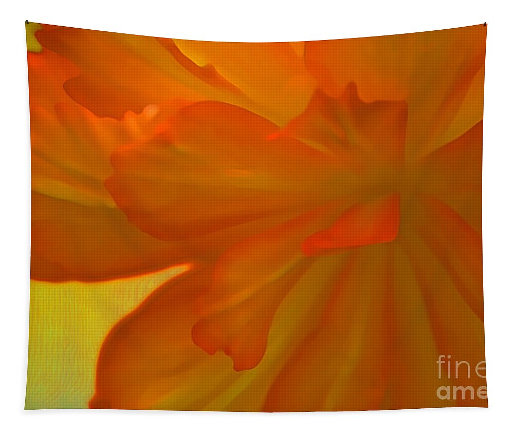 Flower Tapestry featuring the photograph Sweet Nectar by Julie Lueders 