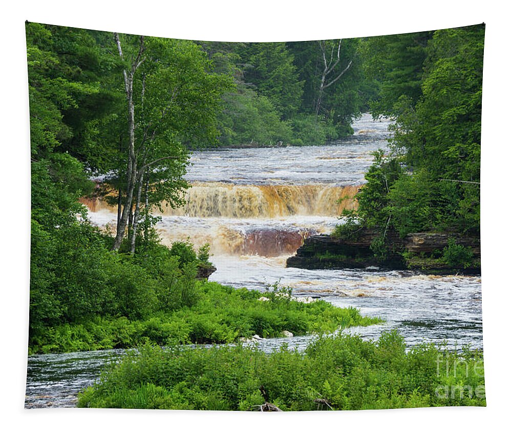 Tahquamenon Tapestry featuring the photograph Tahquamenon The Lower Falls by Jennifer White