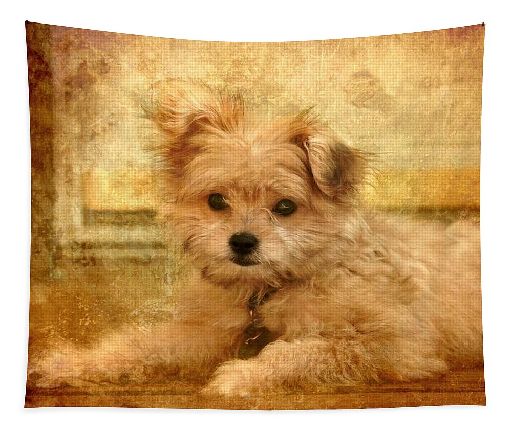 Puppies Tapestry featuring the photograph Taking A Break by Angie Tirado