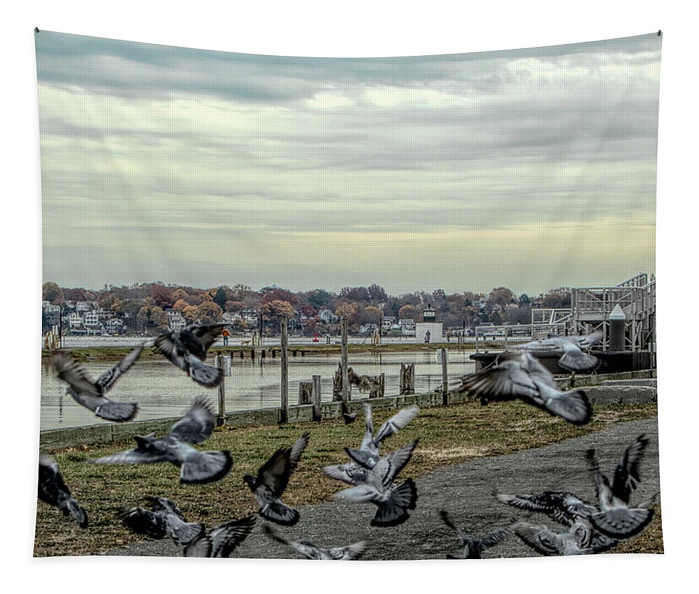 Salem Ma Tapestry featuring the photograph Taking flight by Jeff Folger