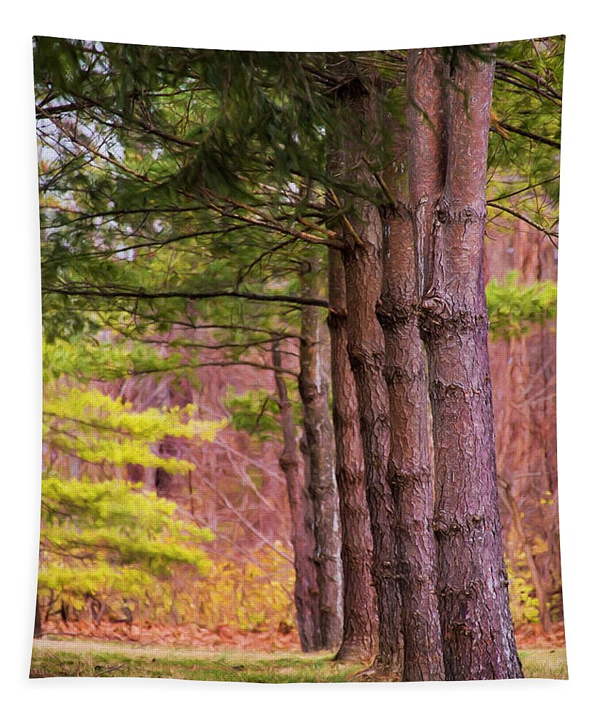 Nature Tapestry featuring the photograph Tall Pines Standing Guard by Sharon McConnell