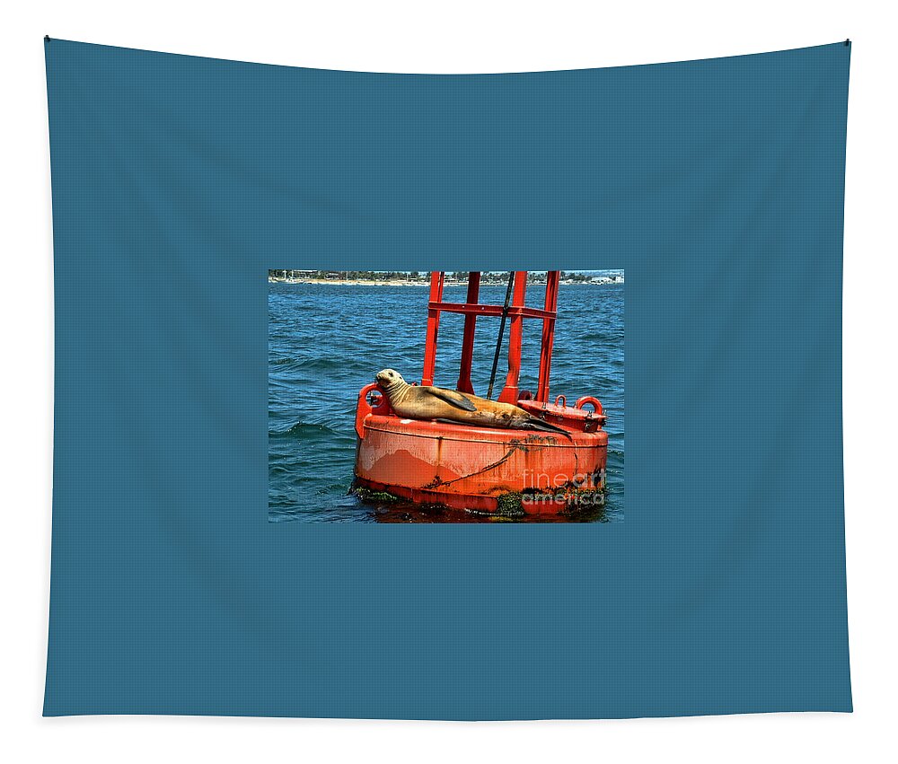 Tanning Sea Lion On Buoy Tapestry featuring the photograph Tanning Sea Lion on Buoy by Mariola Bitner