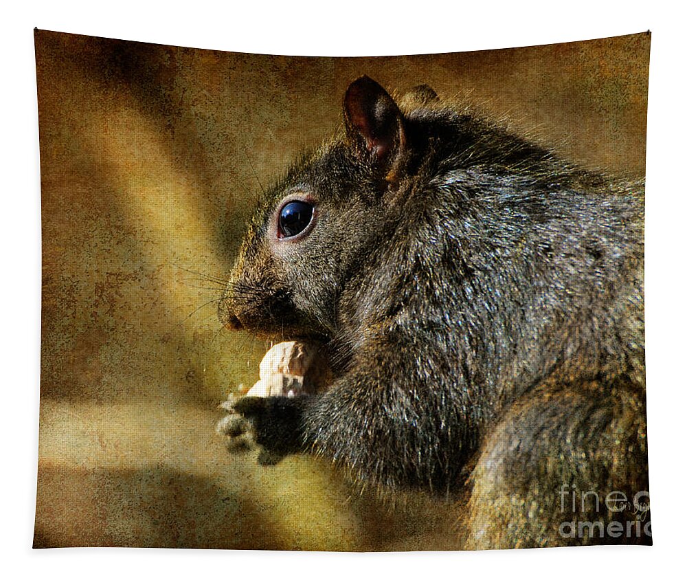 Squirrel Tapestry featuring the photograph Tasty Snack by Lois Bryan