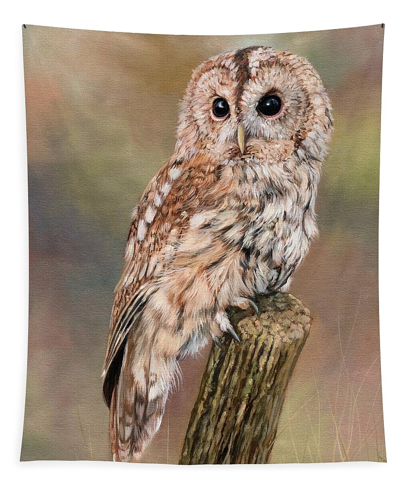 Owl Tapestry featuring the painting Tawny Owl by David Stribbling