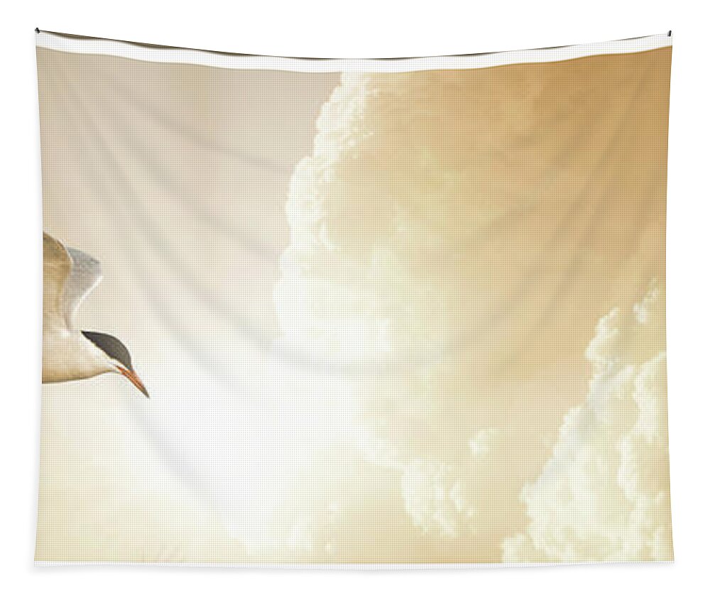 Tern Tapestry featuring the photograph Tern in Flight, Spiritual Light of Dusk by A Macarthur Gurmankin