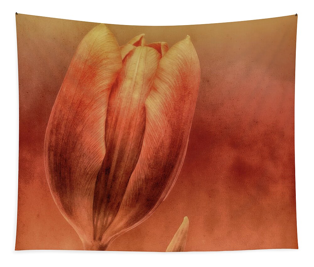 Tulip Tapestry featuring the photograph Terracotta by Wim Lanclus