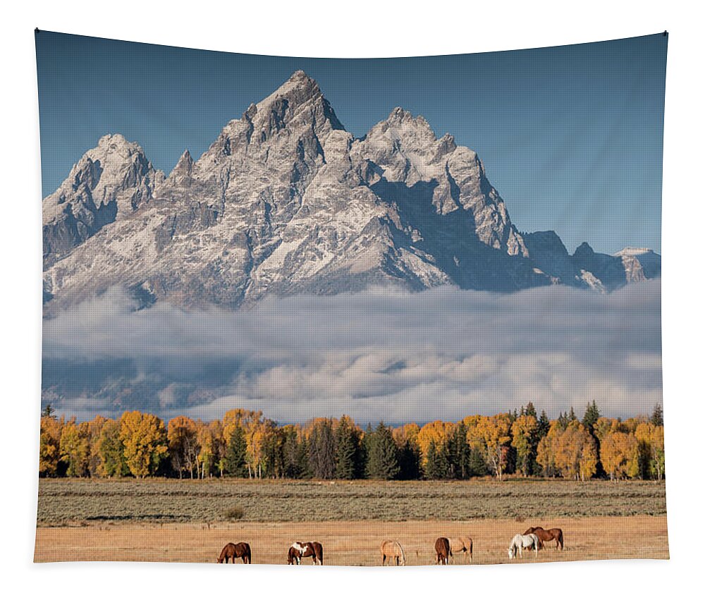 Horses Tapestry featuring the photograph Teton Horses by Wesley Aston
